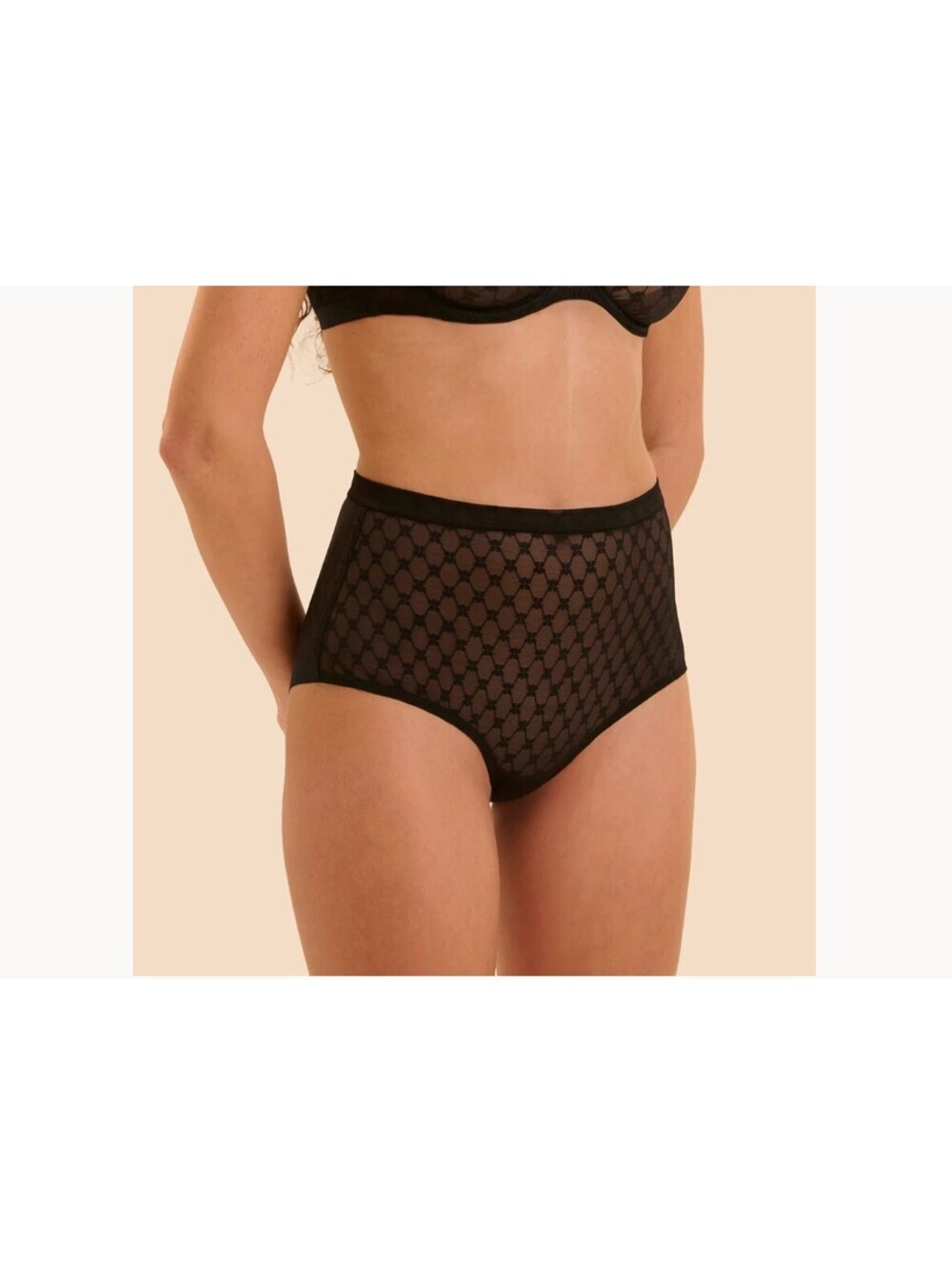 Simone Perele Plume Control Brief - Black NEW Size 6